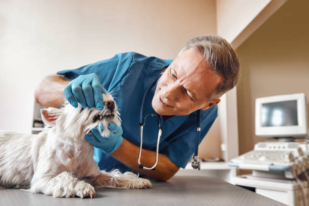 Best Emergency Tooth Extraction in Wells Branch, TX